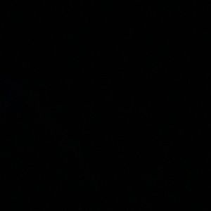 Meet your Posher, Ernesto